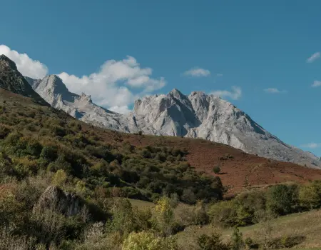 Fincas en Marbella y la Costa del Sol — Vida en contacto con la naturaleza con SOLO Marbella