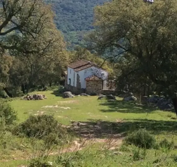 Finca - cortijo R4627120