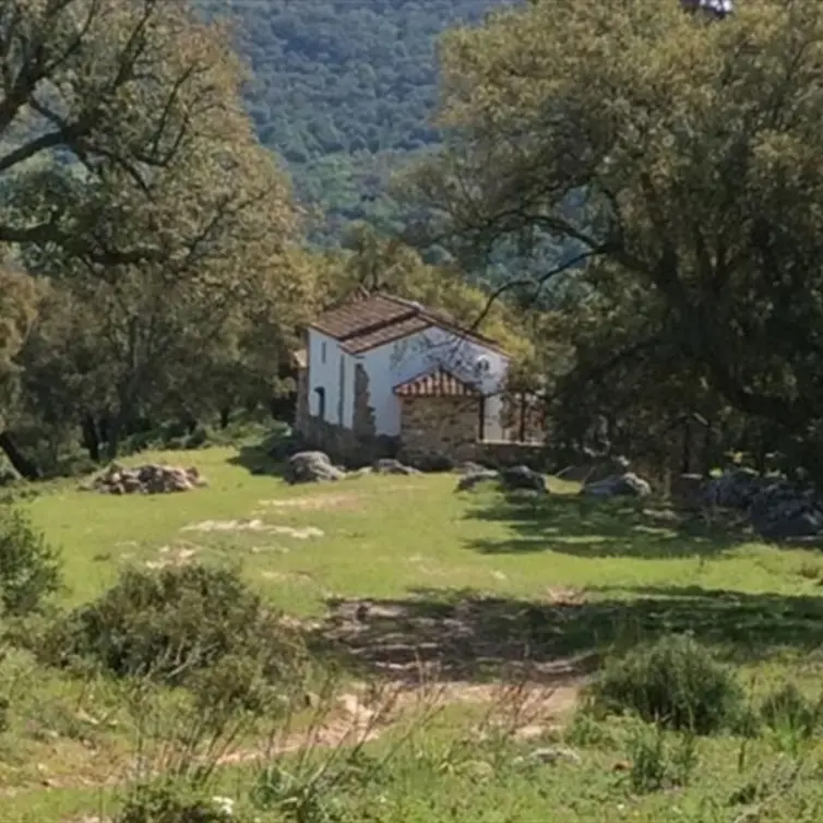 Venta de finca - cortijo en Cortes de la Frontera