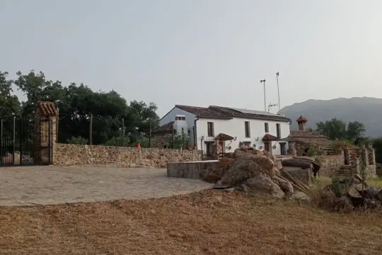 Image 5 thumb