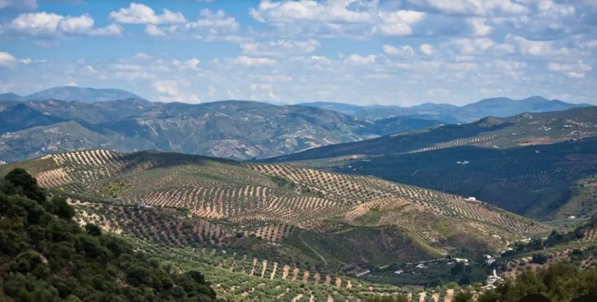 Venta de parcela residencial en Antequera 12