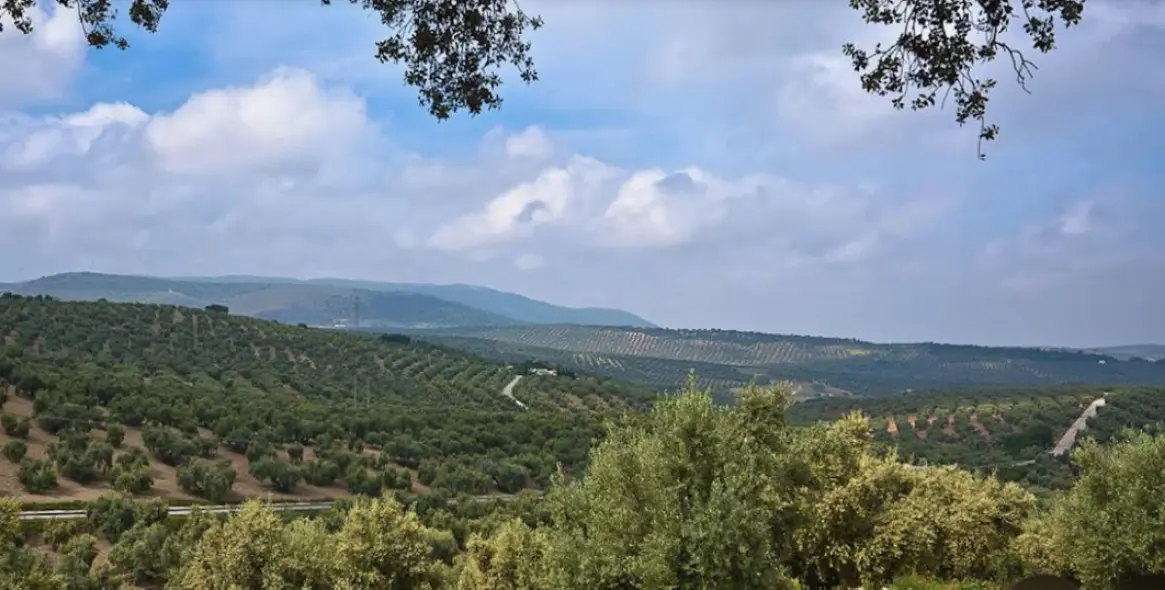 Venta de parcela residencial en Antequera 13