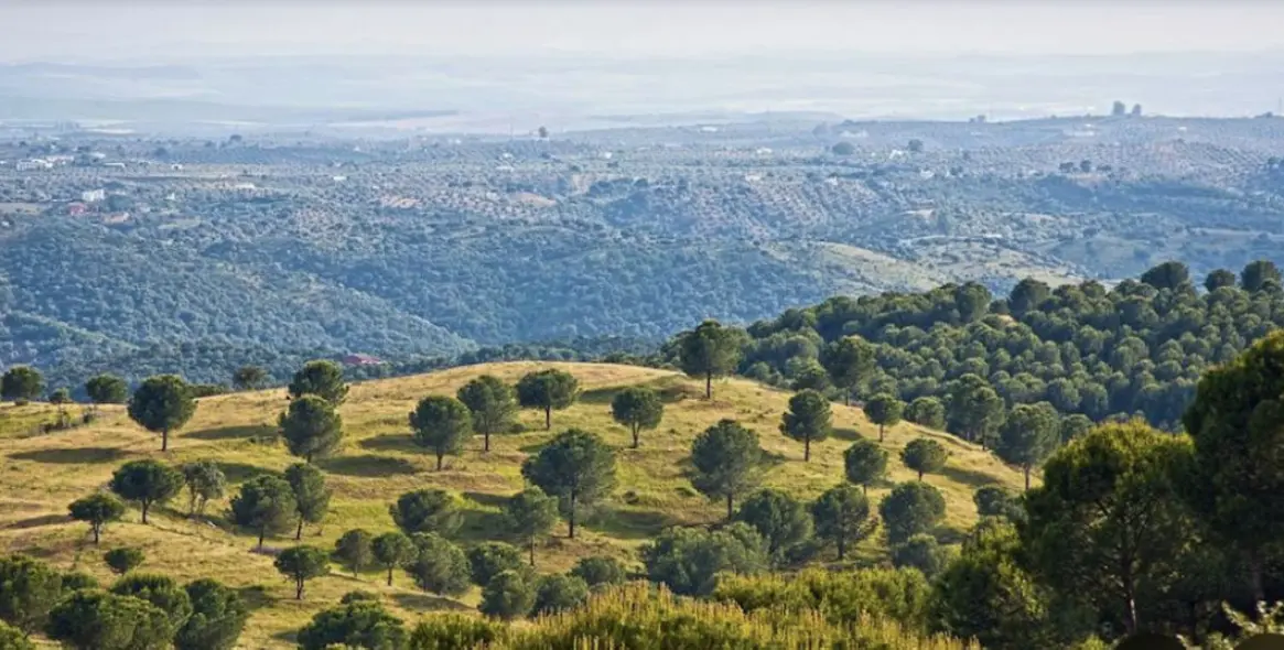 Venta de parcela residencial en Antequera 14