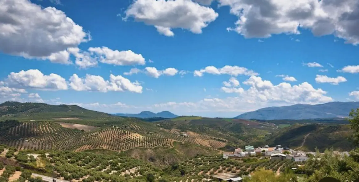 Venta de parcela residencial en Antequera 15