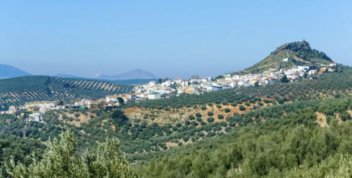 Venta de parcela residencial en Antequera 17