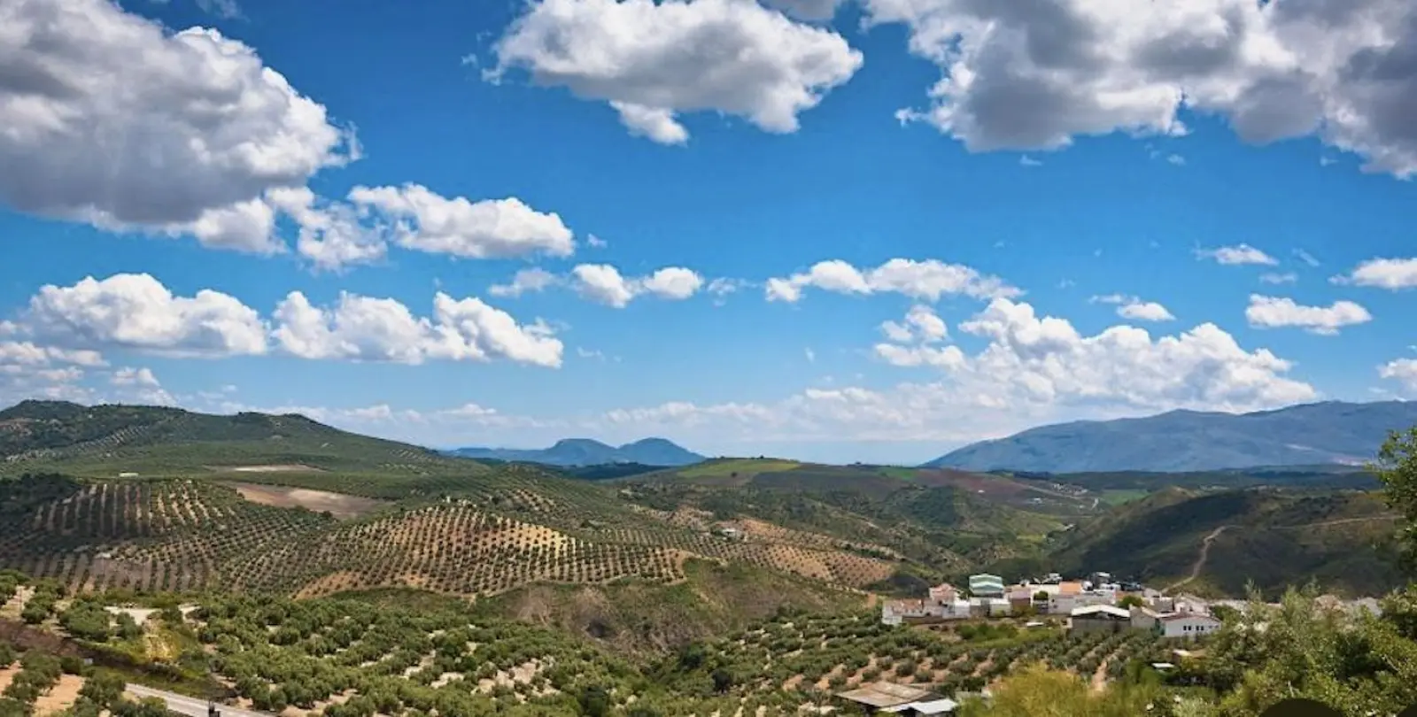 Sale of residential plot in Antequera 1