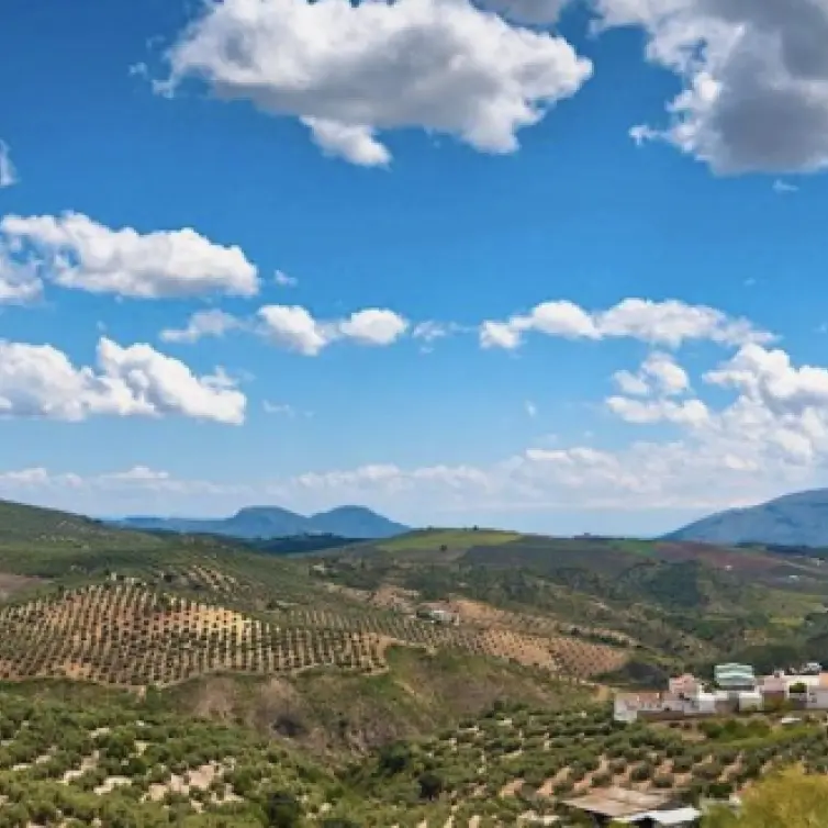 Sale of residential plot in Antequera
