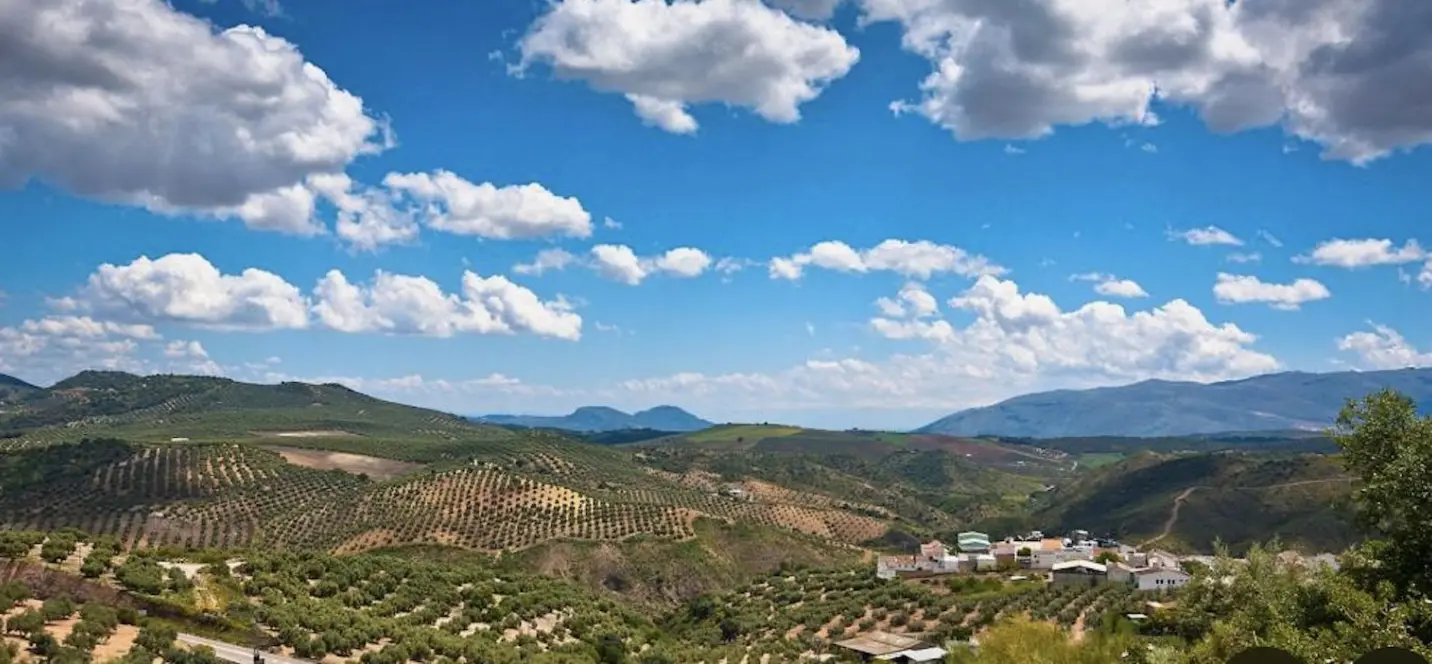 Sale of residential plot in Antequera 0