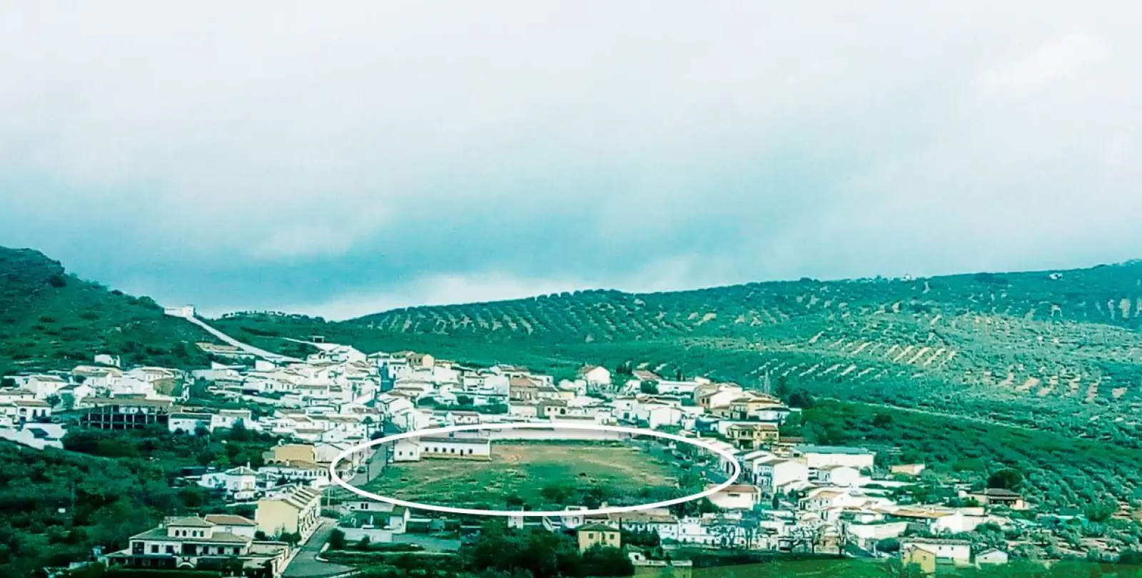 Sale of residential plot in Antequera 8