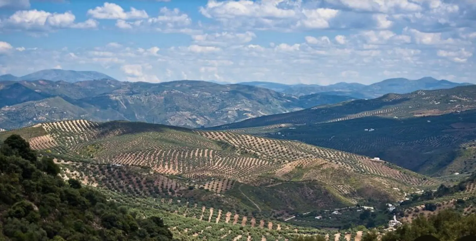 Sale of residential plot in Antequera 13