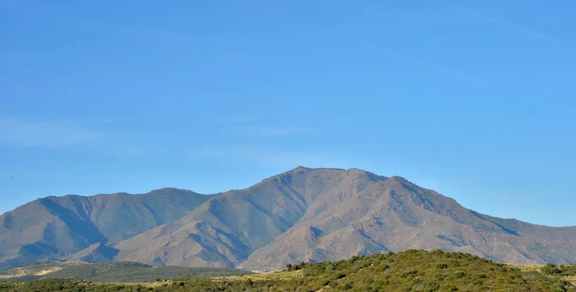 Sale of penthouse in Estepona 14