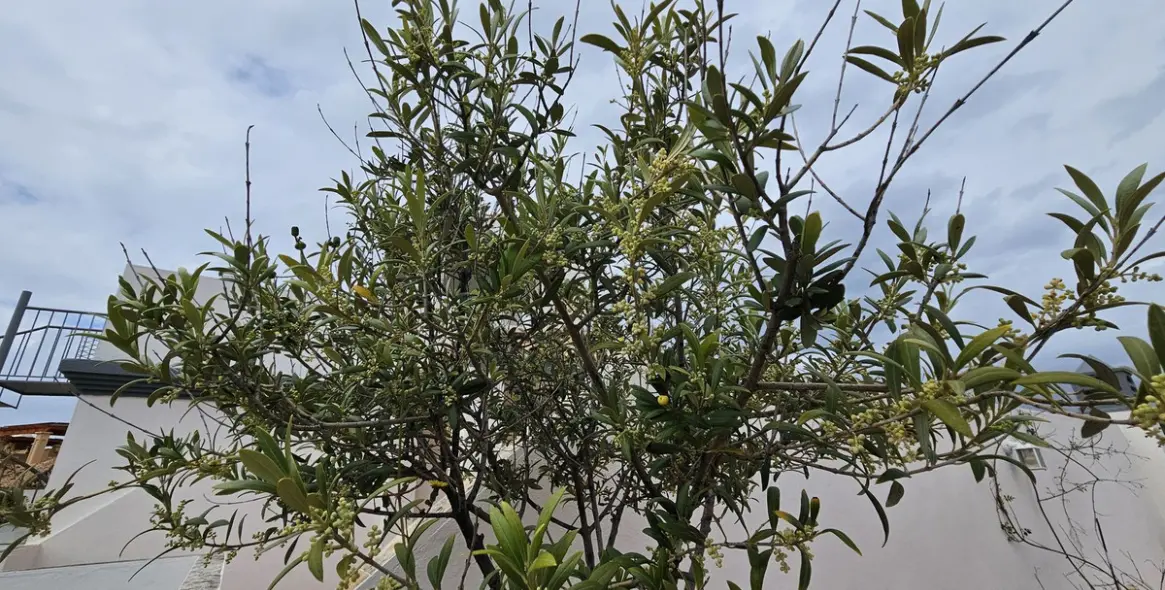 Sale of penthouse in Estepona 18