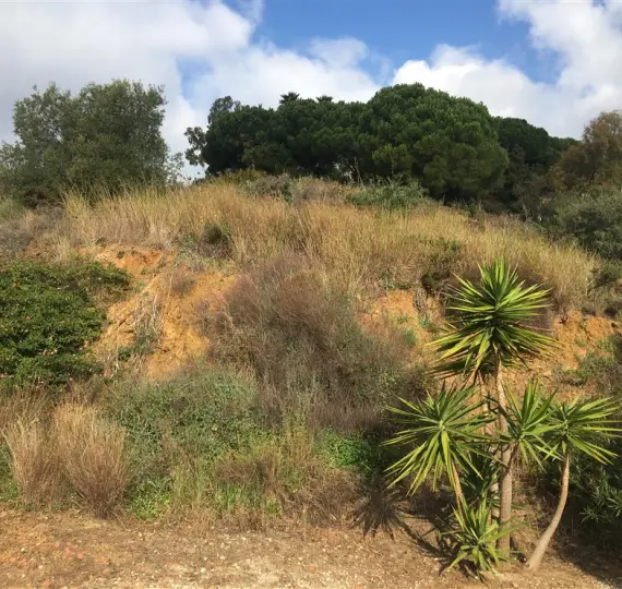 Venta de parcela residencial en Mijas