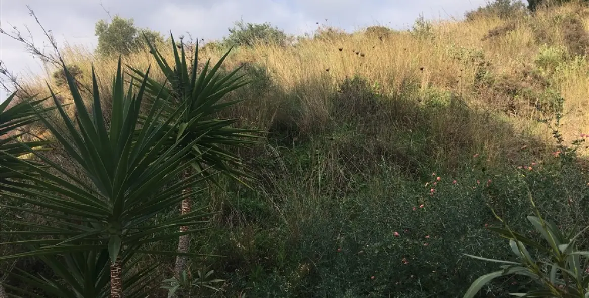 Продажа  жилого участка в Mijas 3