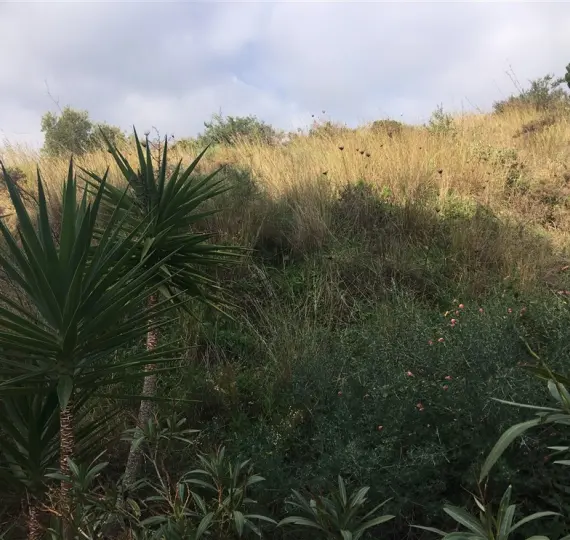 Venta de parcela residencial en Mijas