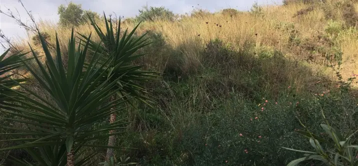 Venta de parcela residencial en Mijas 2