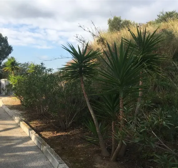 Venta de parcela residencial en Mijas