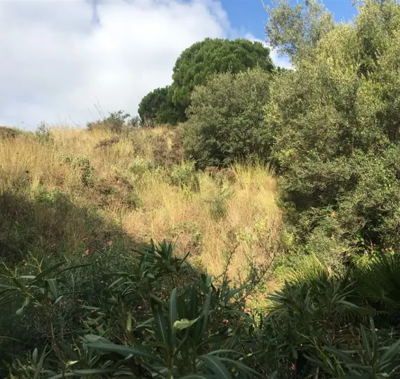Venta de parcela residencial en Mijas