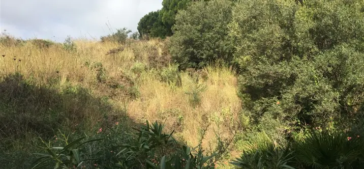 Venta de parcela residencial en Mijas 4