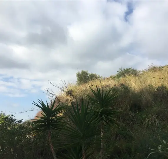 Venta de parcela residencial en Mijas