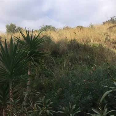 Venta de parcela residencial en Mijas