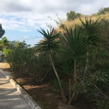 Venta de parcela residencial en Mijas