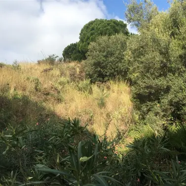 Venta de parcela residencial en Mijas