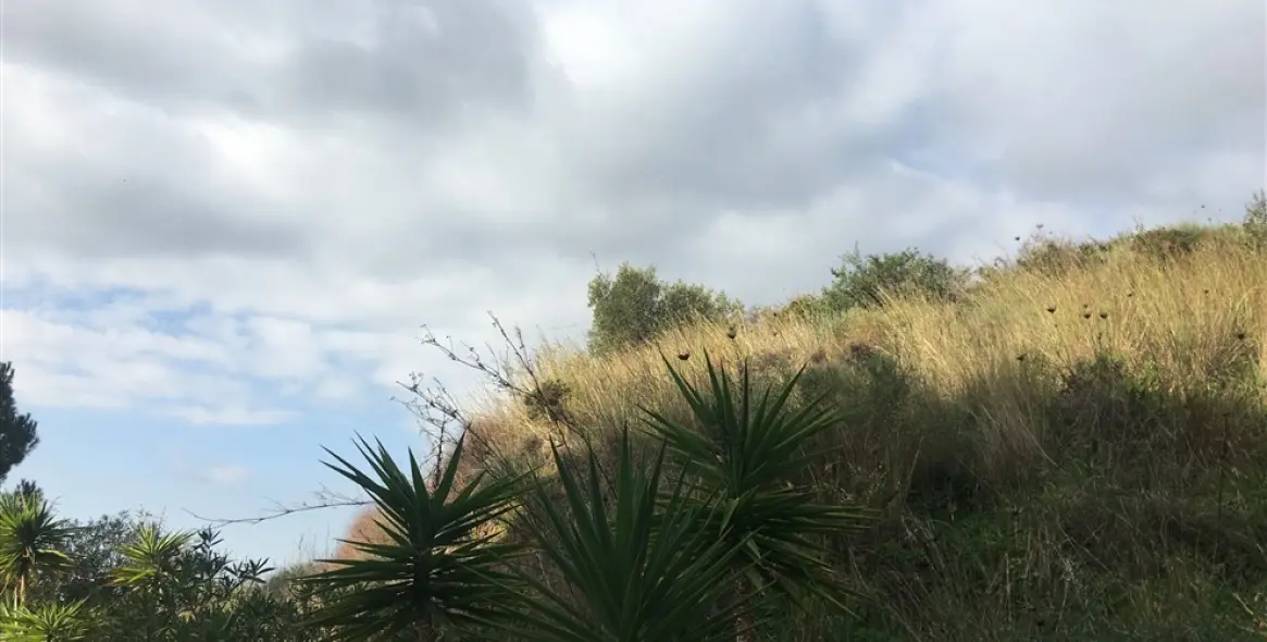 Venta de parcela residencial en Mijas 6