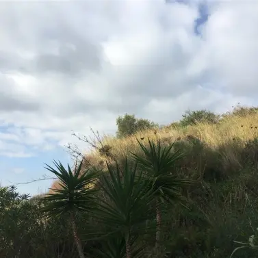 Venta de parcela residencial en Mijas