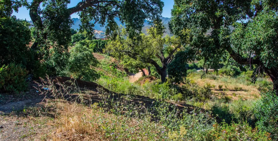 Продажа  жилого участка в La Mairena 2