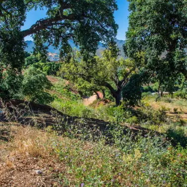 Продажа  жилого участка в La Mairena