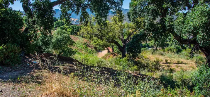 Продажа  жилого участка в La Mairena 1