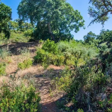 Продажа  жилого участка в La Mairena