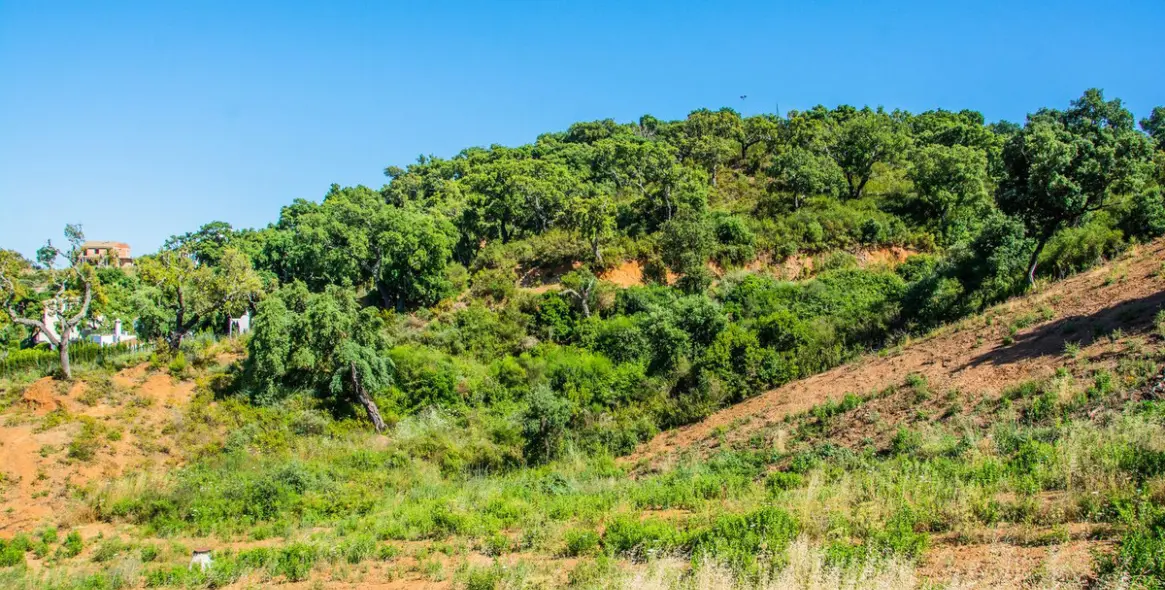 Продажа  жилого участка в La Mairena 6