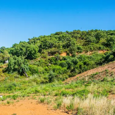 Продажа  жилого участка в La Mairena