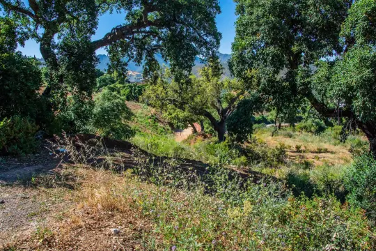 Image 2 thumb