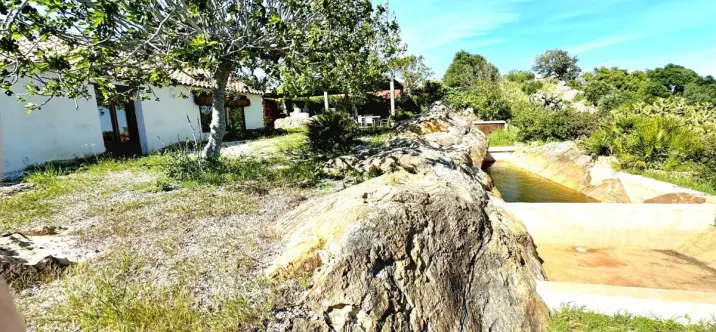 Finca - cortijo R5189434 4