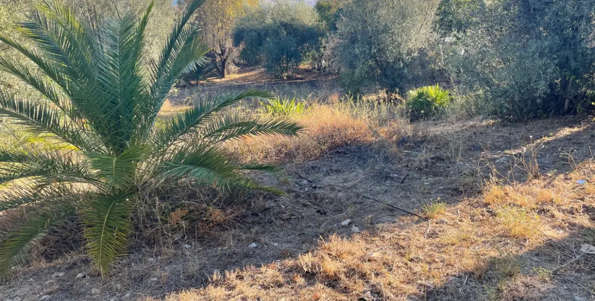 Продажа  жилого участка в Mijas 5