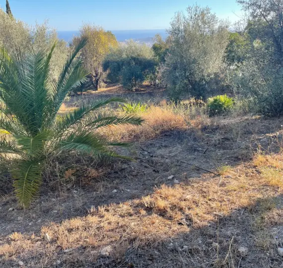 Venta de parcela residencial en Mijas