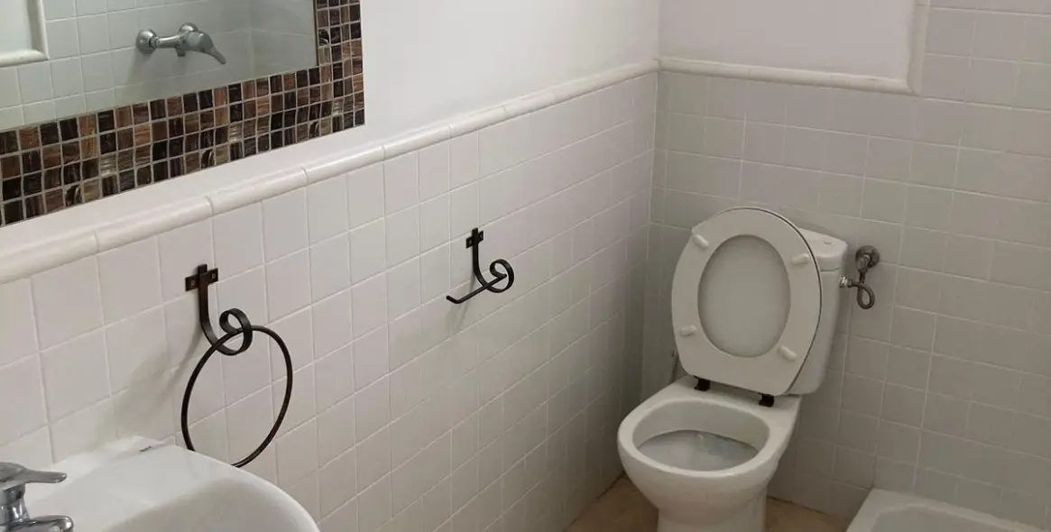 Продажа двухуровневых апартаментов в Cancelada 19