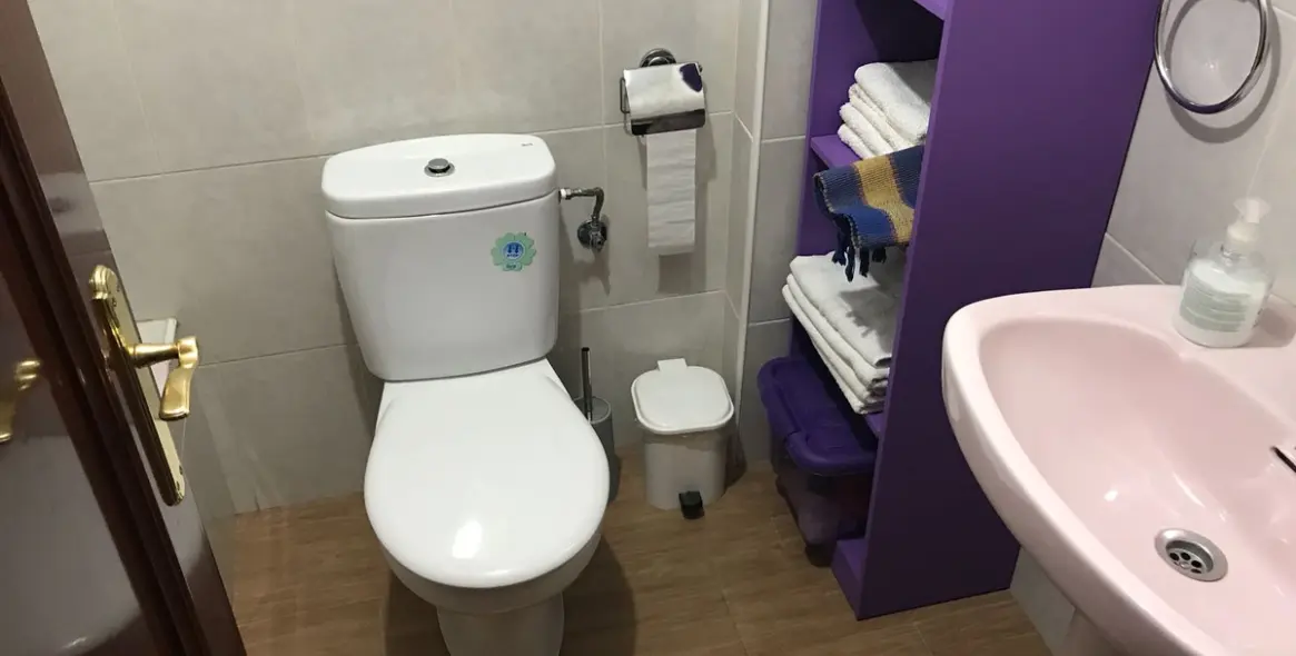 Sale of middle floor apartment in Málaga Centro 13