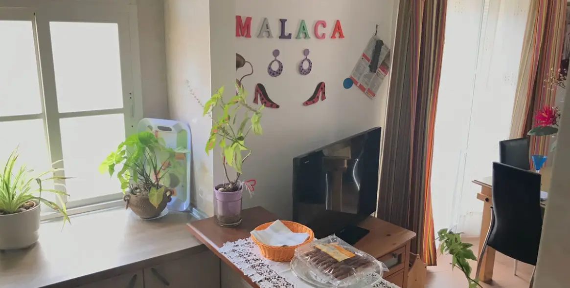 Sale of middle floor apartment in Málaga Centro 14