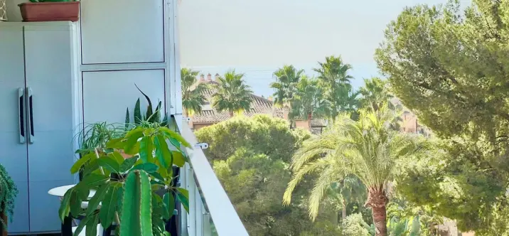 Sale of middle floor apartment in Las Chapas 1