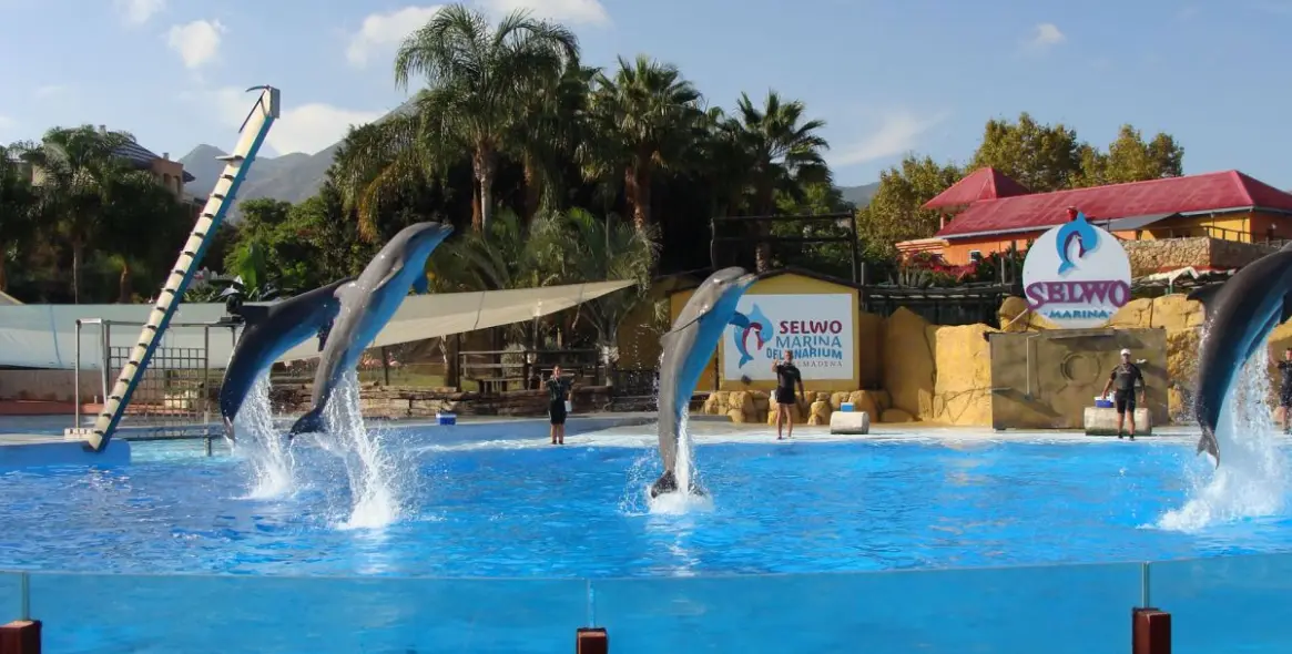 Venta de apartamento en planta baja en Torrequebrada 46