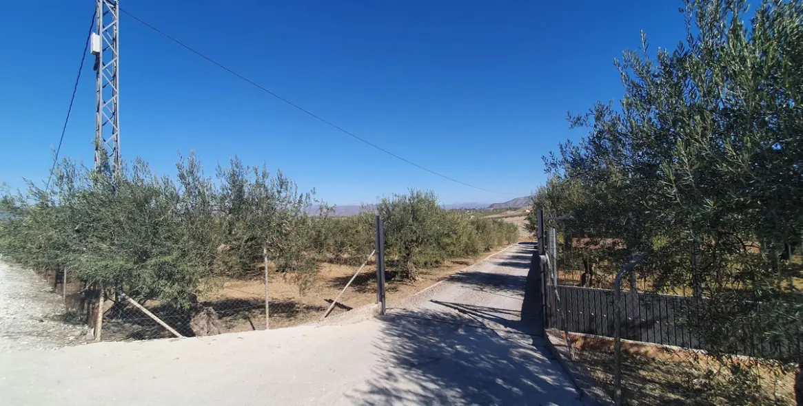 Продажа  жилого участка в Alhaurín el Grande 2