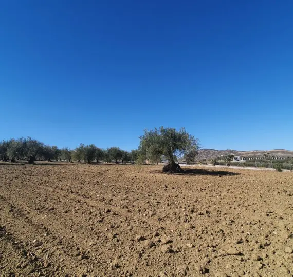 Venta de parcela residencial en Alhaurín el Grande