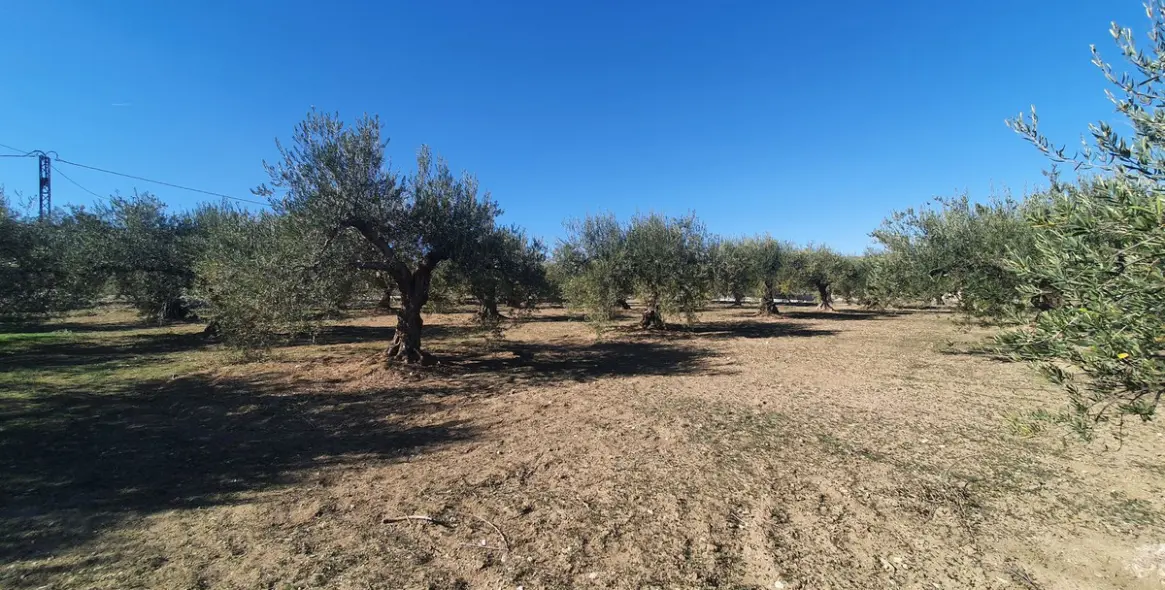 Продажа  жилого участка в Alhaurín el Grande 4