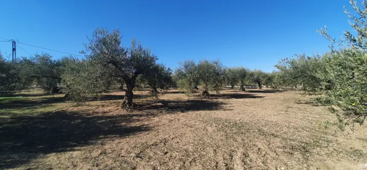 Venta de parcela residencial en Alhaurín el Grande 3