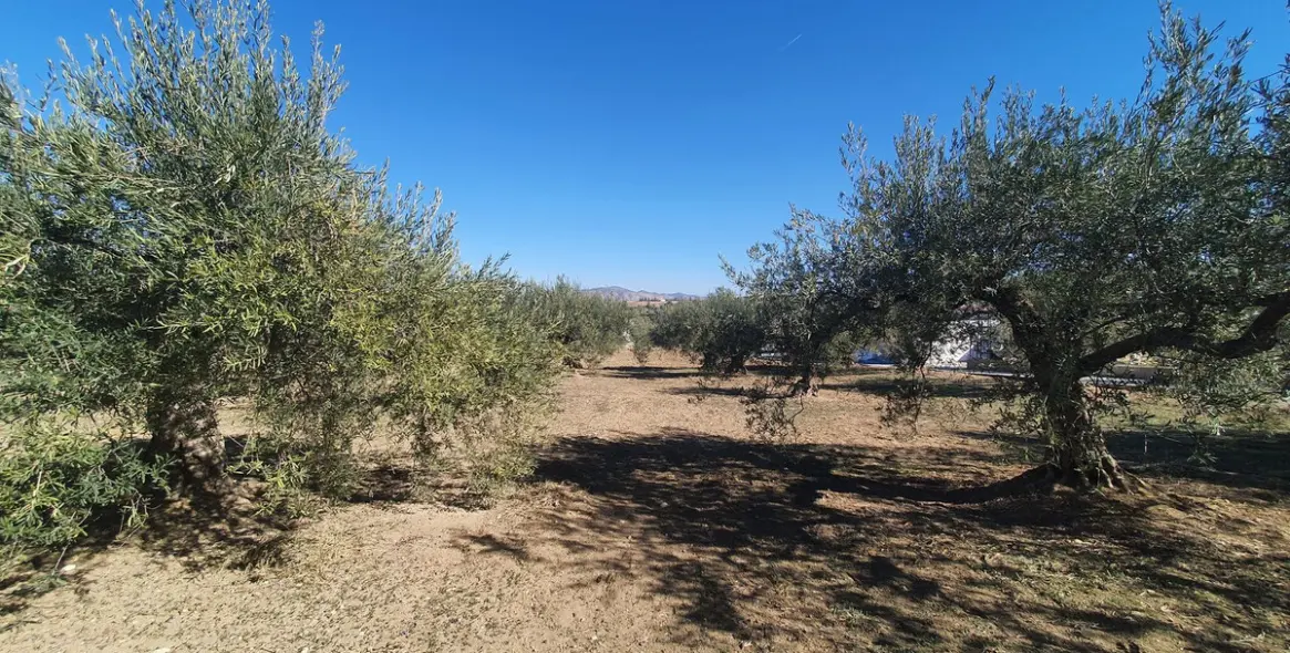 Продажа  жилого участка в Alhaurín el Grande 5