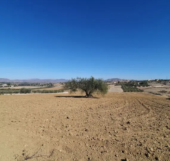 Venta de parcela residencial en Alhaurín el Grande